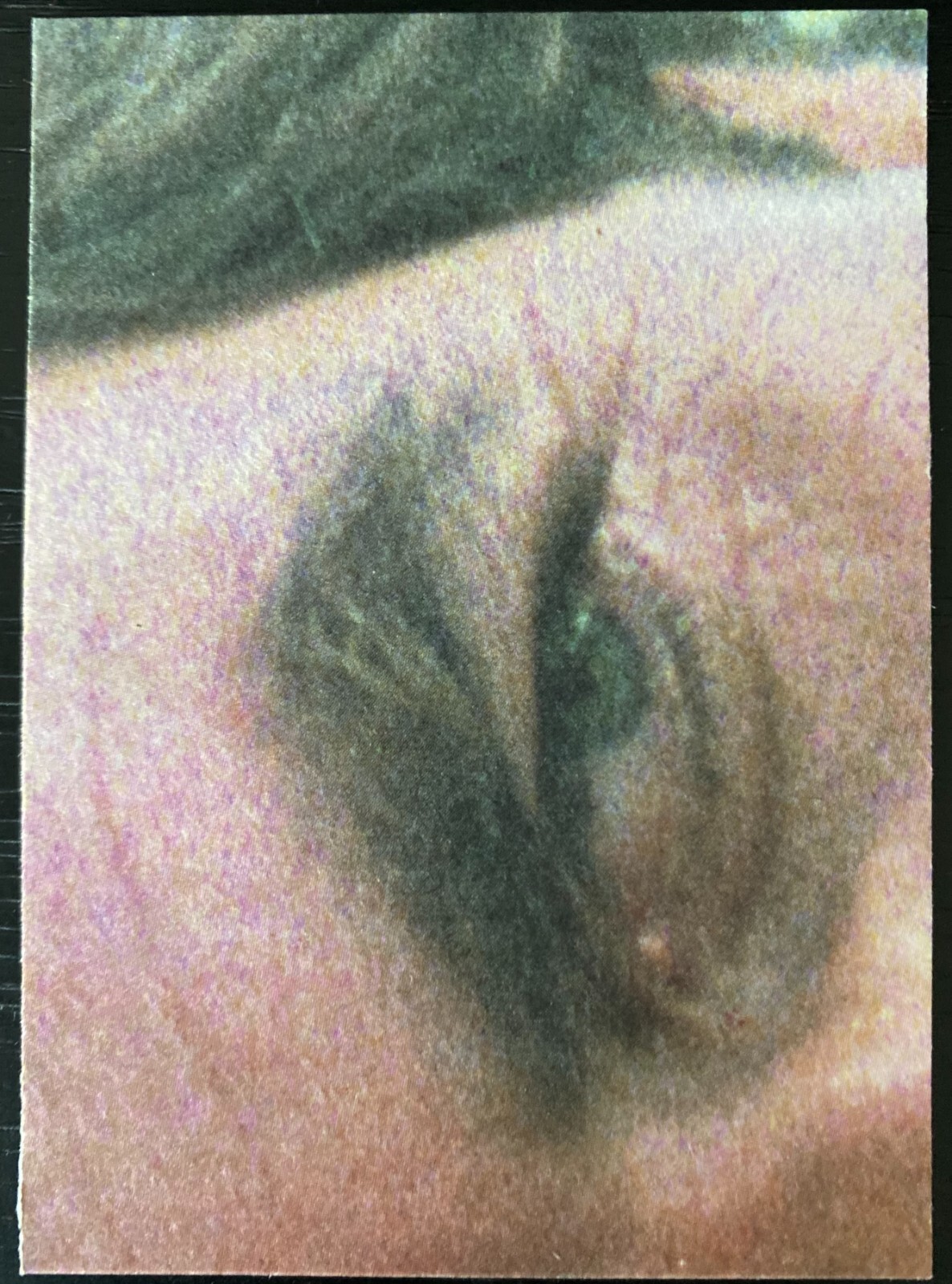 Picture 120 of 124
