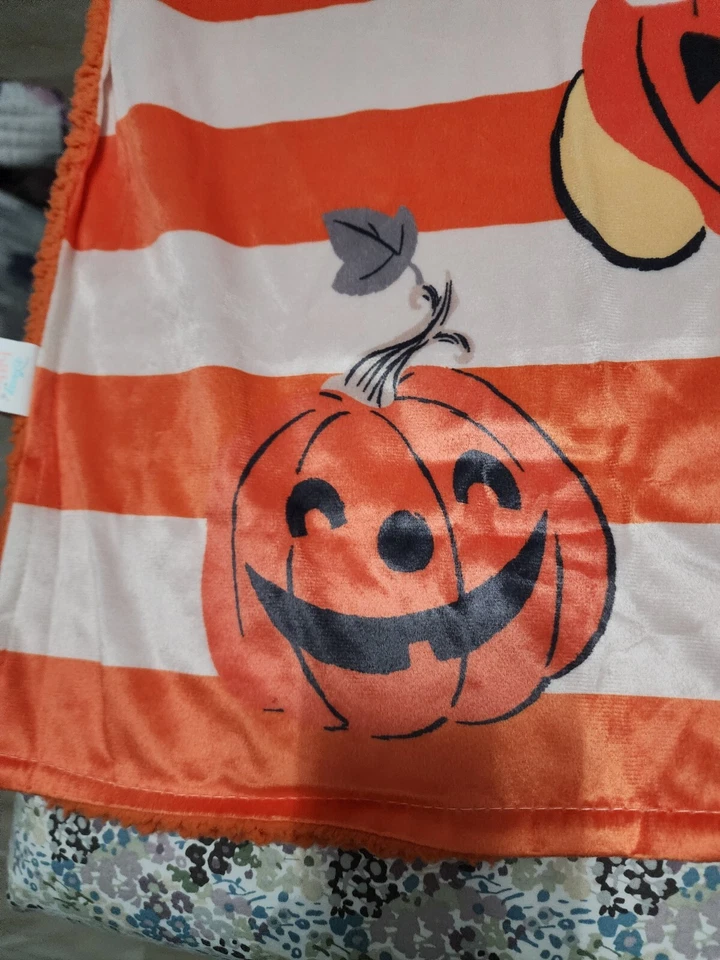 Disney Bebé Winnie the Pooh Oso Sherpa Manta Otoño Calabaza Naranja 30"x40" Foto 3 de 4