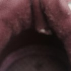 Bild 11 von 13