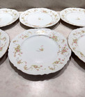 Hutschenreuther china,  bavaria, pink blossom, Selb/Gelb, 8 plates, 1 platter