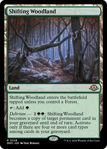 MTG Shifting Woodland - 228 / English / Near Mint