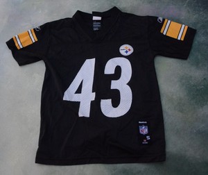 troy polamalu jersey ebay