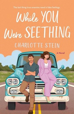 While You Were Seething | Charlotte Stein | englisch