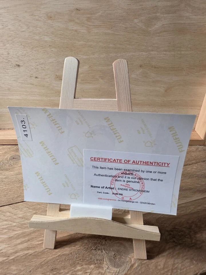 ENDRE STRÖMSHEIM signed Foto ca. 13x19 Autogramm (4103) COA - Bild 3 von 3