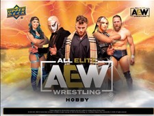 2024 Upper Deck AEW Wrestling Checklist Guide in-content 13