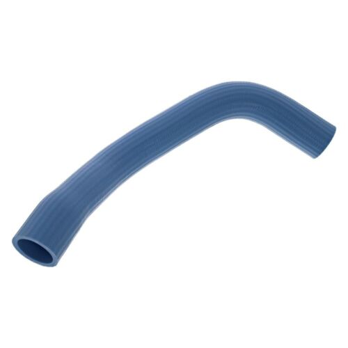 1986-1993 MUSTANG HEAVY DUTY BLUE SILICONE HOSE & CLAMP KIT OUTLAW 5.0 SALE - Picture 16 of 24