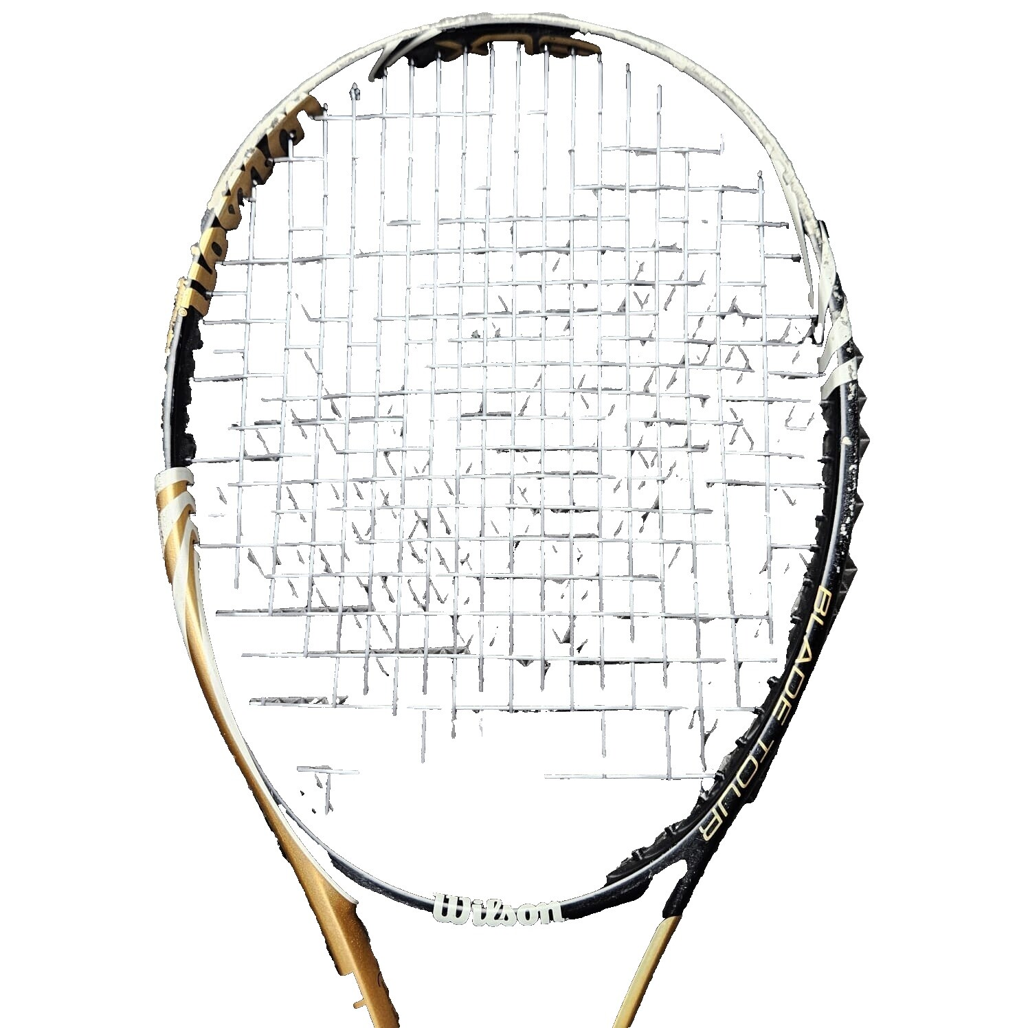 Wilson Blx Tour | eBay
