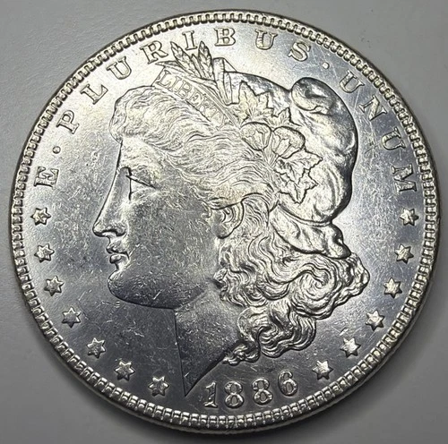 1886 P Morgan Silver Dollar  - E13