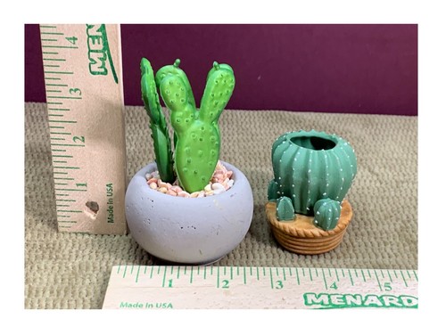 2 DIFFERENT CACTUS PLANTS IN THEIR OWN LITTLE PLANTERS DECOR - Picture 6 of 6