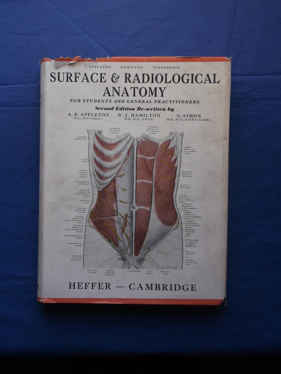 General Radiological Anatomy