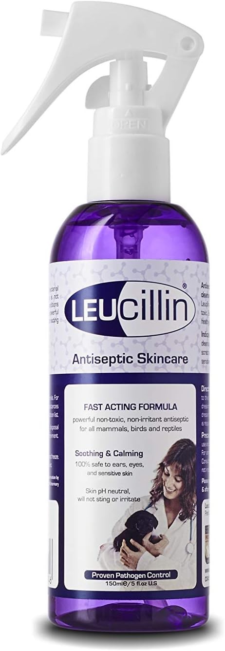 Leucillin Natural Antiseptic Spray - Antibacterial Antifungal Antiviral for Dog