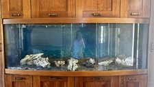 Acquario 800 Litri + Acquario Standard