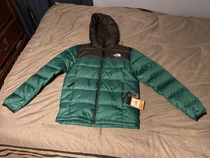the north face men's alpz luxe winter jacket