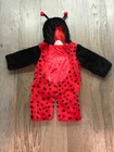 Girls Ladybug Costume - Size 12 Months - Celebrate Halloween — photo 1