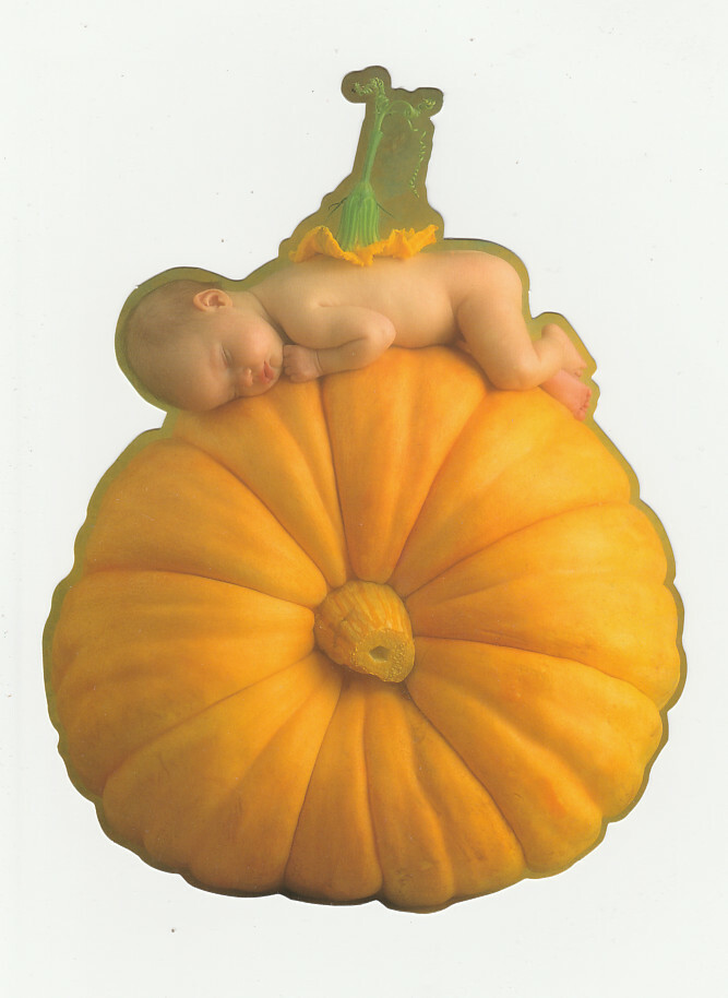 Anne Geddes pop 'eekhoorntje' 40 cm | Tweedehands BabyBorn