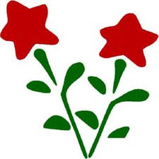 30 Custom Red Star Flower Personalized Address Labels