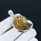 Natural Ammonite Fossil Gemstone Pendant 925 Sterling Silver Handmade Jewelry