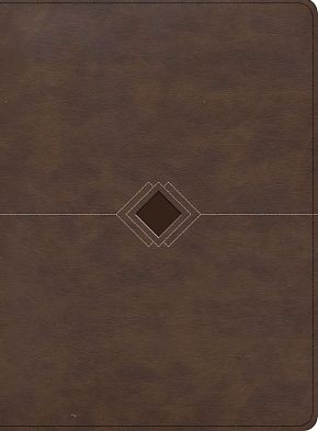 Biblia Reina Valera 1960 cronologica, dia por dia. Simil piel, marron /  .. NEW
