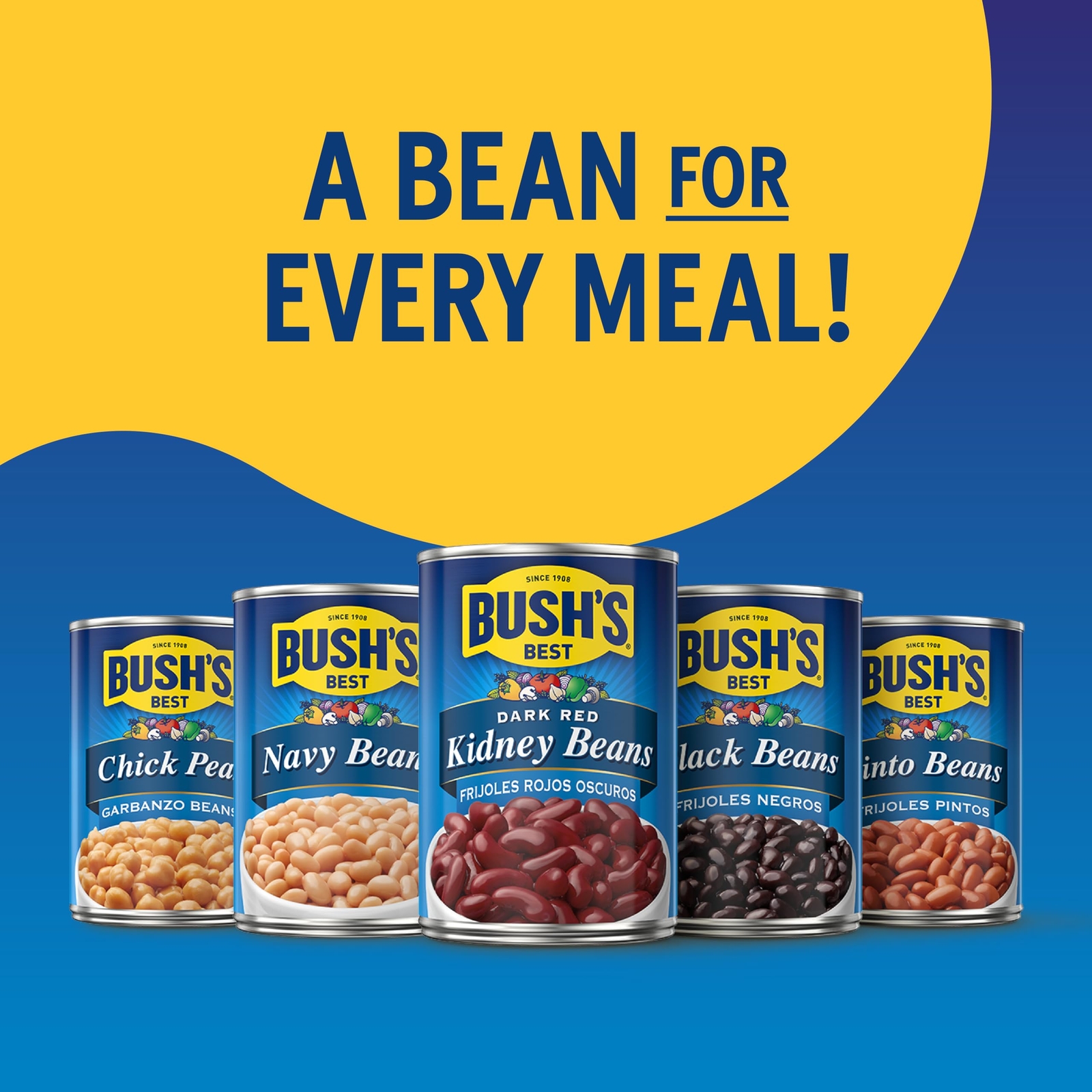 BUSH'S BEST 16 oz Canned Pinto Beans Source of Plant Based Protein and Fiber ...