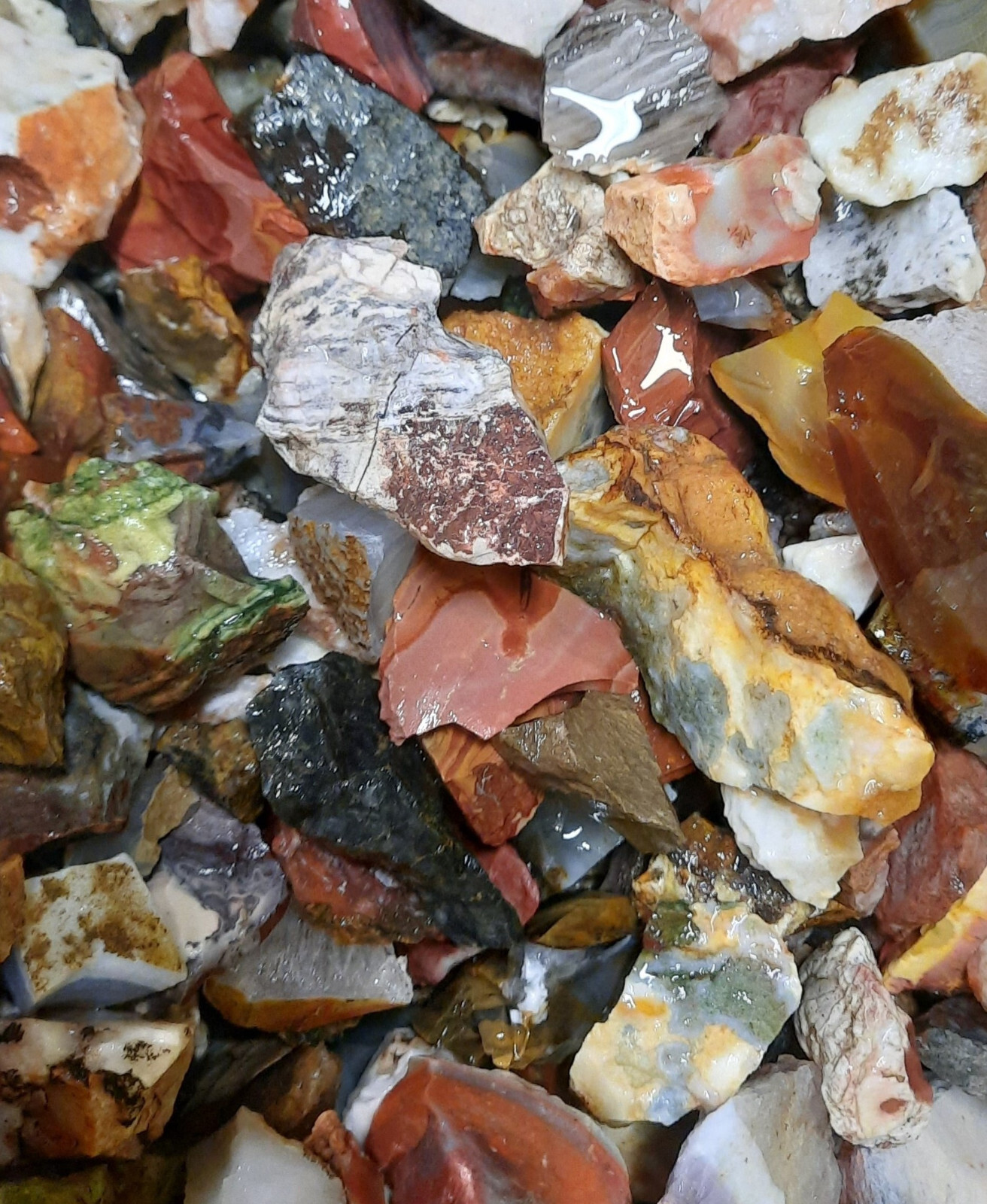 Natural Moss Agate Rough Rocks - 1LB Bulk Wholesale For Tumbling, Crafting & Collections