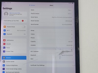 Apple iPad Pro (12.9-inch) (2nd Gen.) (A1670) 256GB (Wi-Fi Only