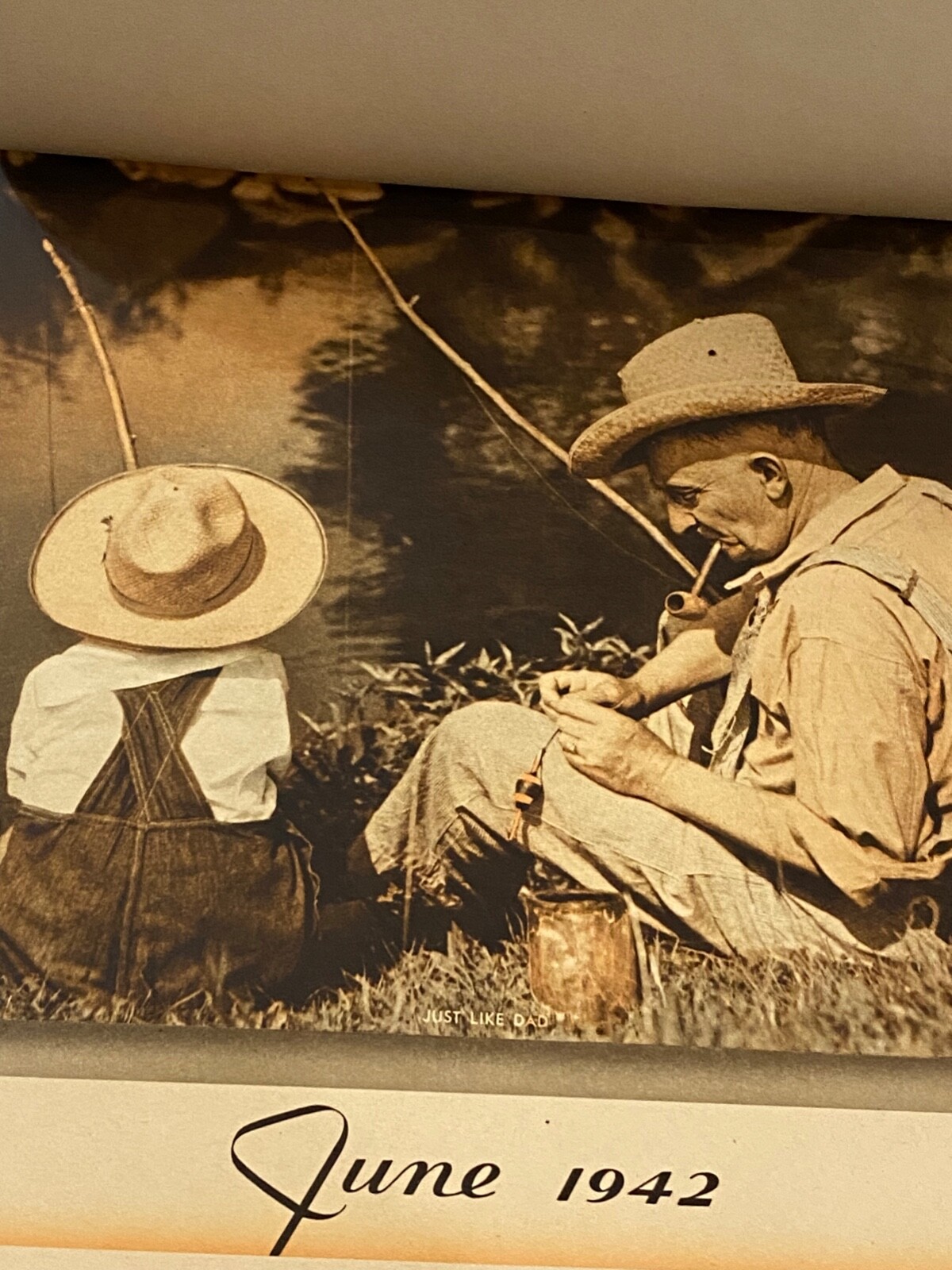 Picture 11 of 20