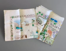 Vintage 90s Bandanas (2) Scarf Grand Canyon & Wildflowers NATURES FACTS