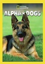 Alpha Dogs DVD 