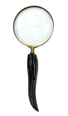 Vintage Magnifying Glass With Hand-Carved Horn Handle | English Sporting Style