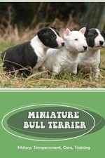 Miniature Bull Terrier: History, Temperament, Care, Training: How To Train A Bul