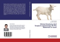 Clinical Anatomy And Surgical Laparoscopy Of The Abdomen In Goat Samir El-Gendy