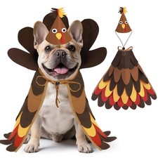 EXPAWLORER Thanksgiving Dog Turkey Small, Day Khaki