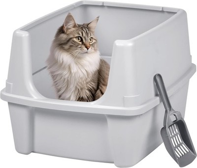 Spacious 19'' L Open Top Cat Litter Tray with Scatter Shield for Indoor Cats