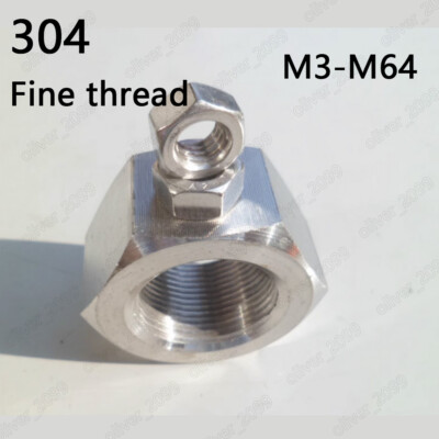 Fine Thread 304 Stainless Steel DIN934 Hexagon Nuts Hex Nut M3 M4 M5 M6 M8-M64