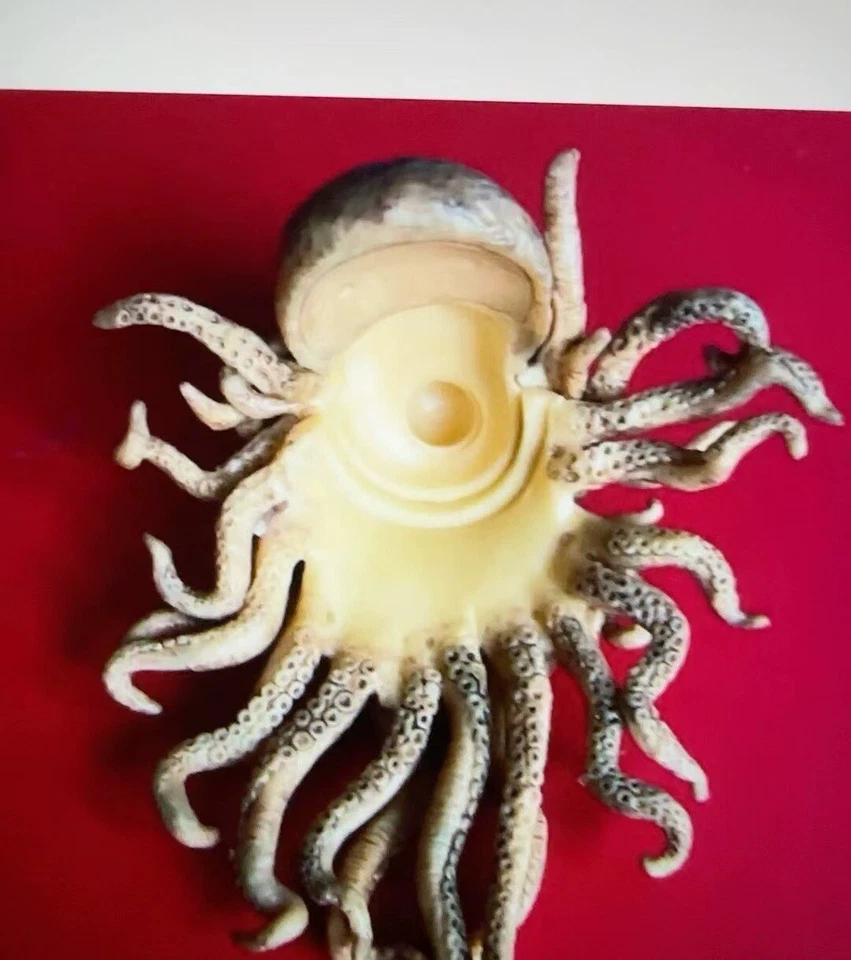 1/6 杰作戴维·琼斯加勒比海盗头像雕塑人偶 HT MMS52 — 第 2/4 张图片