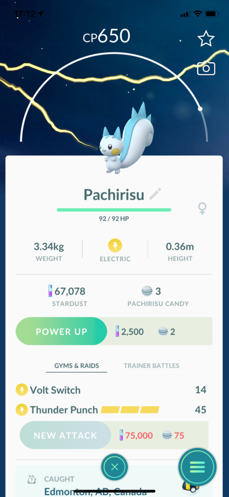 Pokemon - #417 Pachirisu !! Same Day Shippment or Next Day Guaranteed ! Go