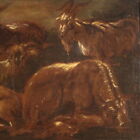 Picture 4 of 12