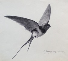 Fritz Berger Zeichnung Schwalbe Tinte Flinzer Impressionismus signiert 1909