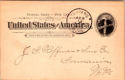 JG Hoffmann Sons Buffalo Lumber Company Bayard US PostCard 1894 Train Cars Bark