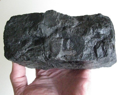 Bituminous Coal Specimen, State Rock of  West Virginia, 1 pound 10.6 ounces