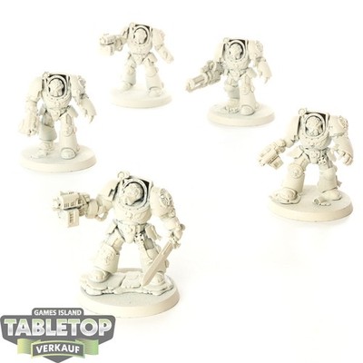 Dark Angels - 5x Terminator Squad - teilweise bemalt