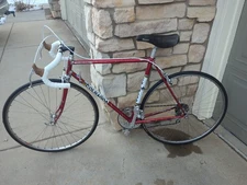 Vintage Colnago Campagnolo record Superissmo Cinelli  survivor Steel Bicycle 