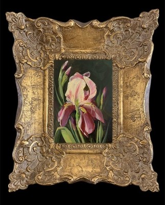 Gerahmtes Original Ölgemälde auf Leinwand Iris Blume signiert & gelistet vom Künstler