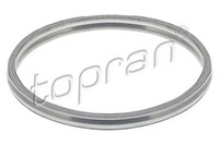 Topran Dichtung Abgasrohr 117 909 FüR Skoda Seat Audi Vw BE1 BE2 BQ1 Golf 5G1 7
