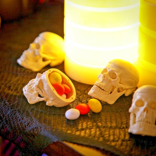 1-Miniature TINY TIM SKELETON SKULL Movable Jaw Halloween Prop Crafts Decoration - Picture 8 of 10