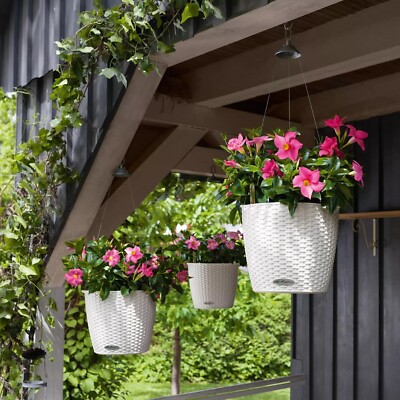 Lechuza Self Watering Hanging Basket Planter Nido 28 Premium Flower Herbs Pot