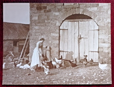 FRANK MEADOW SUTCLIFFE POSTCARDS 1853-1941  The Sutcliffe gallery 1979 - Whitby