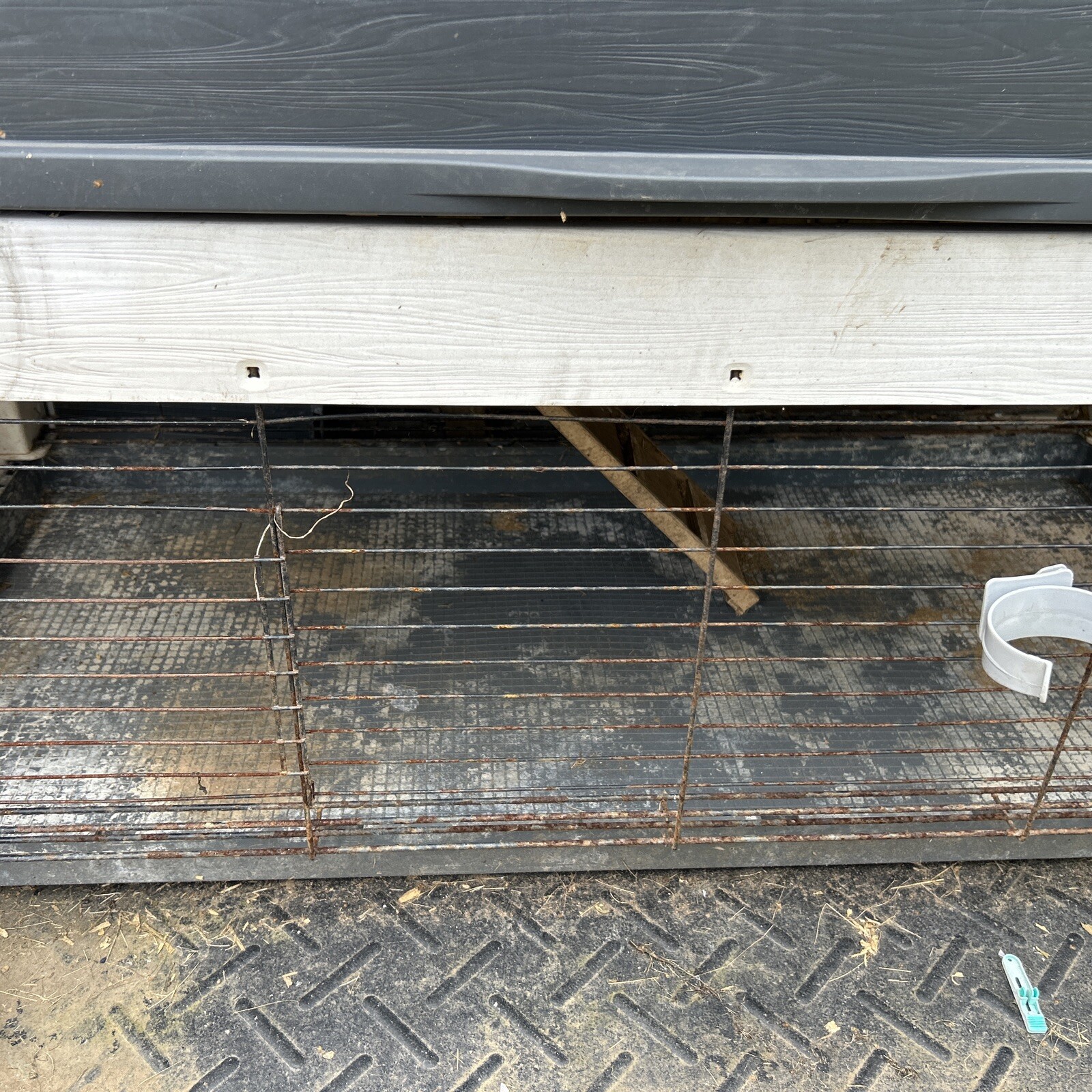 Rabbit Hutch Ferplast Lodge grand Plus Plastic Rabbit Hutch eBay