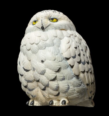 Animal Heavenly Body Snowy Owl Bubo scandiaca Bird Collecitble