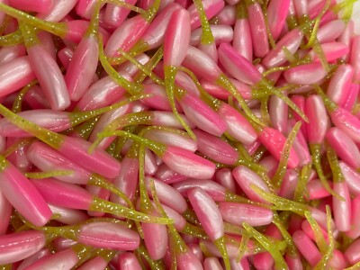 24 pk 2'' Pinky Shad Stinger Shad Crappie Fishing Bluegill Perch